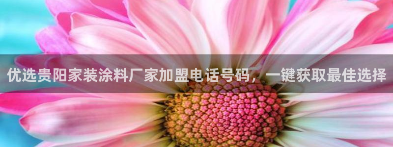 和记平台官方网：优选贵阳家装涂料厂家加盟电话号码，一键获取最佳选择