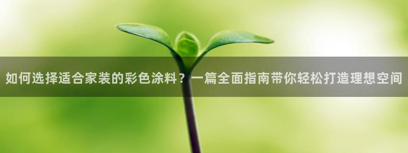 青岛大生和记餐饮管理有限公司：如何选择适合家装的彩色涂料？一篇全面指南带你轻松打造理想空间