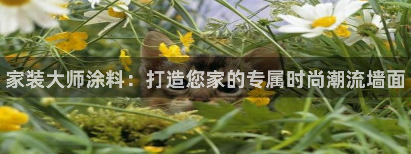 和记平台下载：家装大师涂料：打造您家的专属时尚潮流墙面