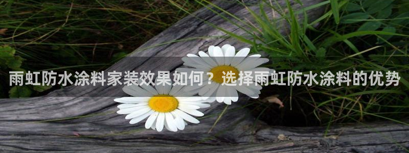 和记港口