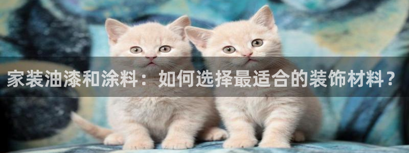 和记官方