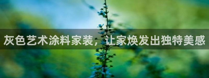 和记官网：灰色艺术涂料家装，让家焕发出独特美感