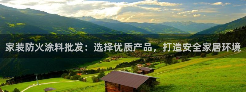 和记app官网登录：家装防火涂料批发：选择优质产品，打造安全家居环境