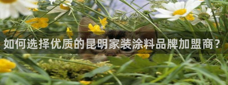 和记网页