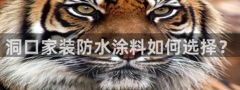 和记pc：洞口家装防水涂料如何选择？