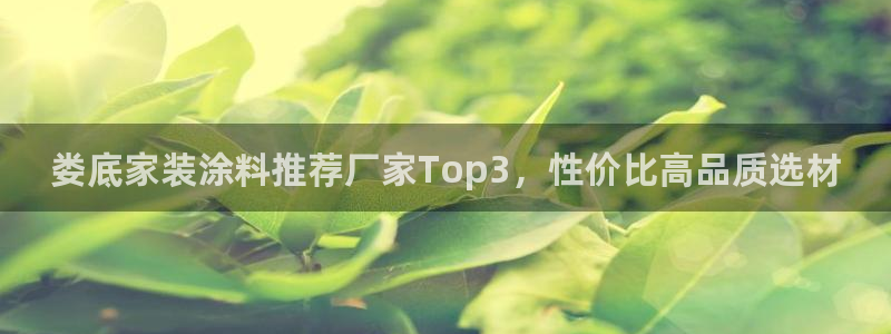 和记电业集团