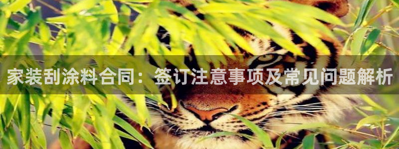 和记官方直营