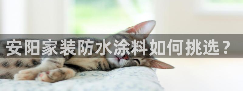 和记paging：安阳家装防水涂料如何挑选？