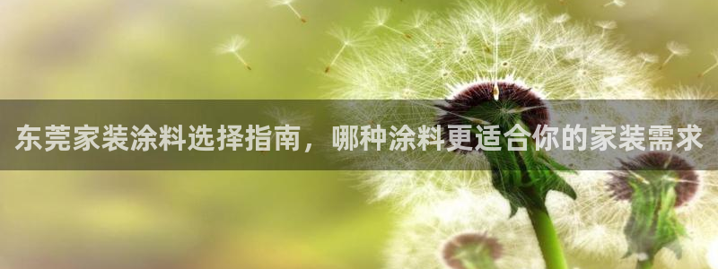 和记ag登录：东莞家装涂料选择指南，哪种涂料更适合你的家装需求