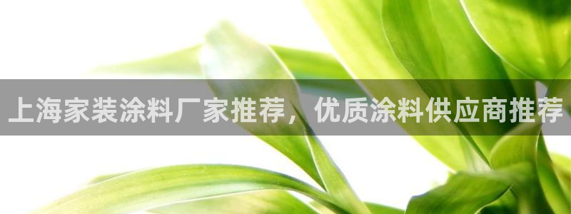 和记app官网：上海家装涂料厂家推荐，优质涂料供应商推荐