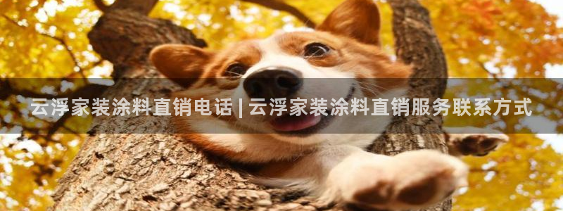和记国际开户网站