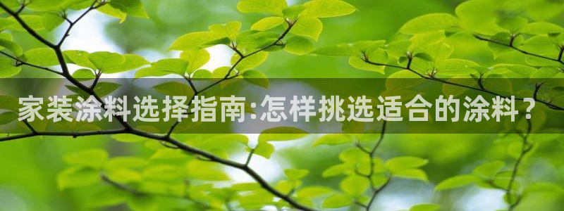 和记ag登录：家装涂料选择指南:怎样挑选适合的涂料？