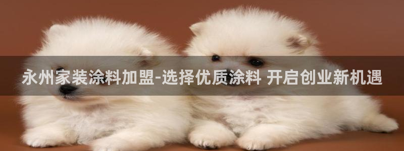和记国际：永州家装涂料加盟-选择优质涂料 开启创业新机遇