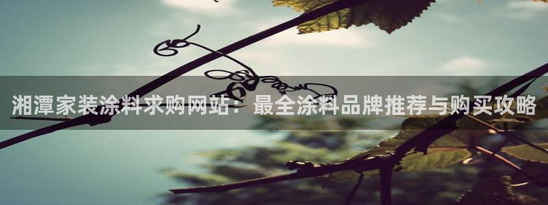 和记国际开户