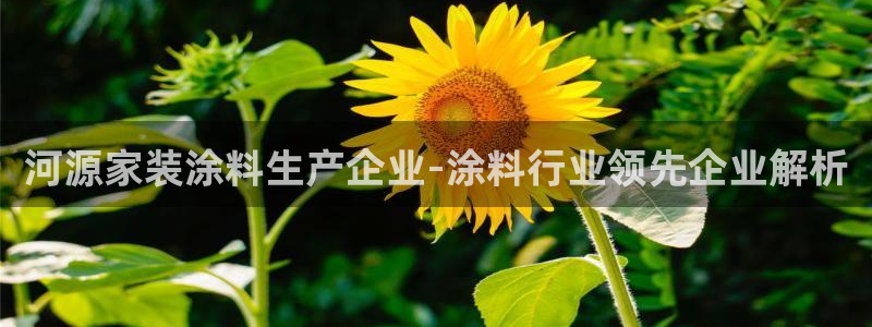 和记官方直营注册：河源家装涂料生产企业-涂料行业领先企业解析