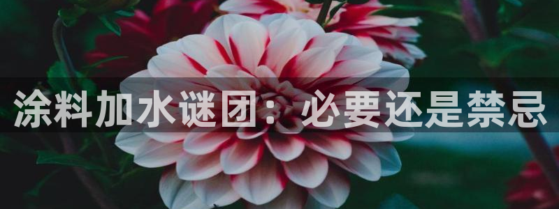 官方和记国际平台登录：涂料加水谜团：必要还是禁忌