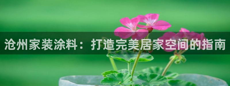 和记平台登录：沧州家装涂料：打造完美居家空间的指南