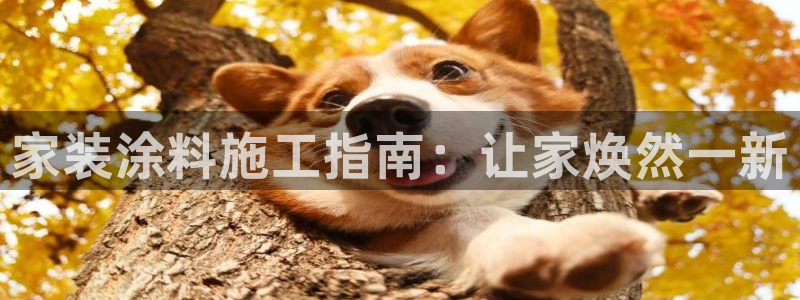 官方和记国际平台登录：家装涂料施工指南：让家焕然一新