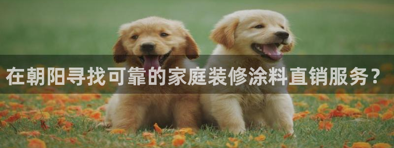 和记广告女主角：在朝阳寻找可靠的家庭装修涂料直销服务？