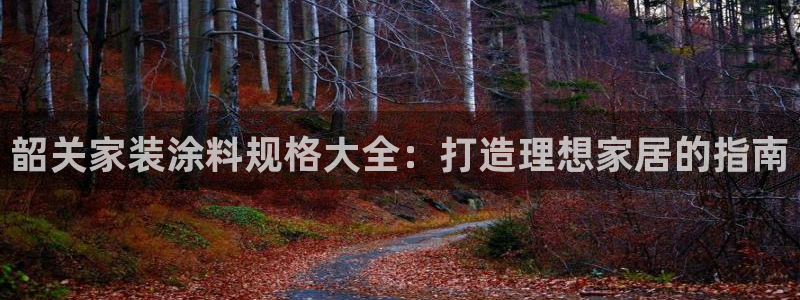 和记网页版登陆：韶关家装涂料规格大全：打造理想家居的指南