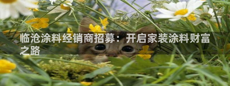 和记国际听：临沧涂料经销商招募：开启家装涂料财富
之路