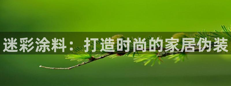 青岛大生和记餐饮管理有限公司：迷彩涂料：打造时尚的家居伪装