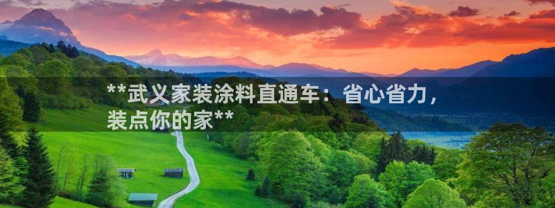 和记h8：**武义家装涂料直通车：省心省力，
装点你的家**