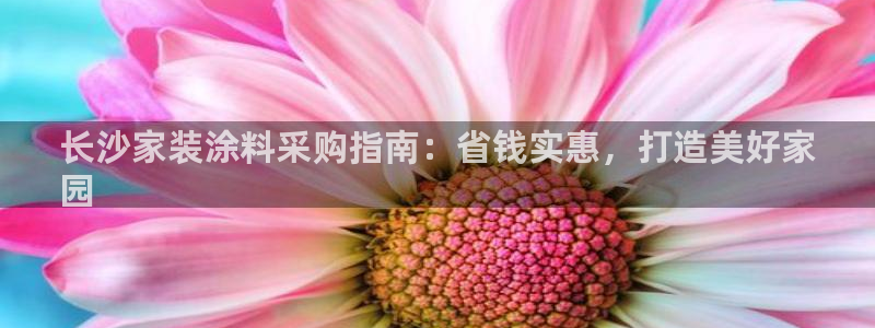 和记ag登录：长沙家装涂料采购指南：省钱实惠，打造美好家
园