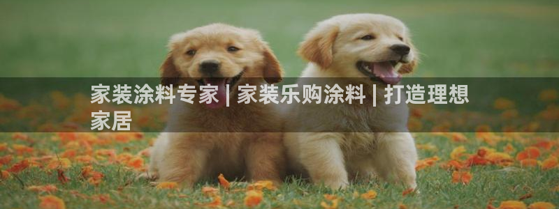 和记官网：家装涂料专家 | 家装乐购涂料 | 打造理想
家居