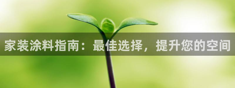 和记官方网址：家装涂料指南：最佳选择，提升您的空间