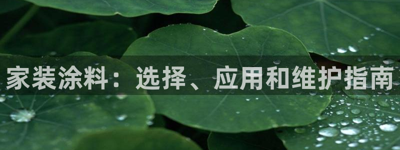 和记H88