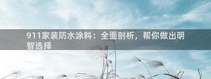和记AG旗舰：911家装防水涂料：全面剖析，帮你做出明
智选择
