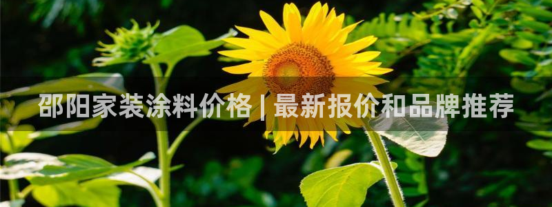 和记 中国官网：邵阳家装涂料价格 | 最新报价和品牌推荐