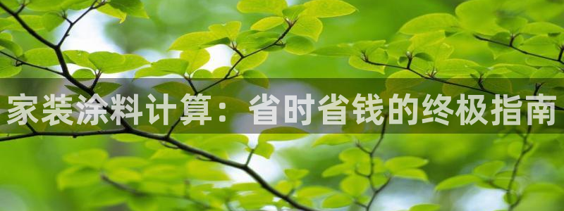 深圳和记科技有限公司：家装涂料计算：省时省钱的终极指南