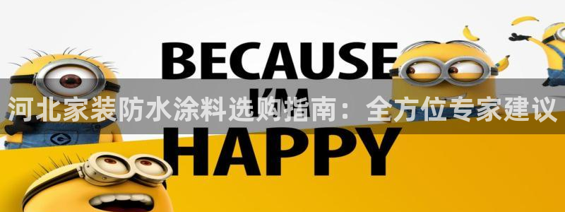 和记官方：河北家装防水涂料选购指南：全方位专家建议