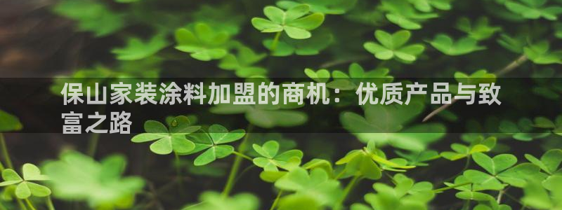 和记平台怎么样：保山家装涂料加盟的商机：优质产品与致
富之路