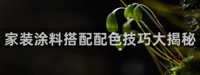 和记国际开户