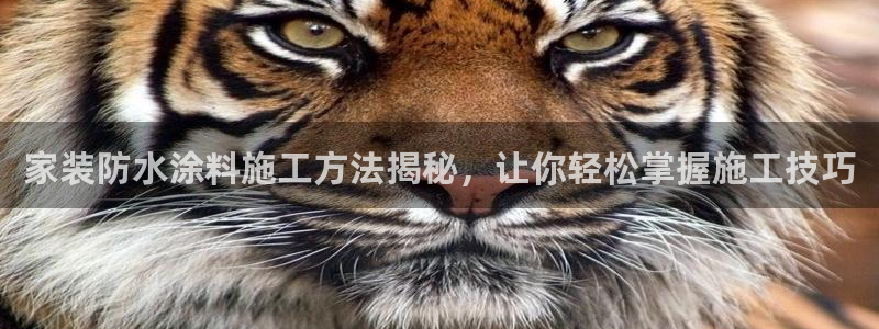 和记平台登录：家装防水涂料施工方法揭秘，让你轻松掌握施工技巧