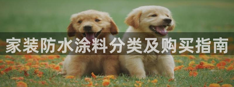 和记ag旗舰厅
