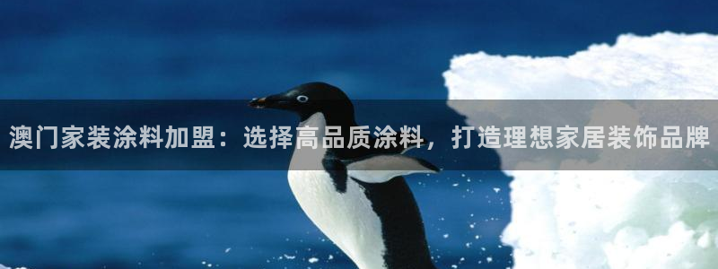 和记国际开户：澳门家装涂料加盟：选择高品质涂料，打造理想家居装饰品牌