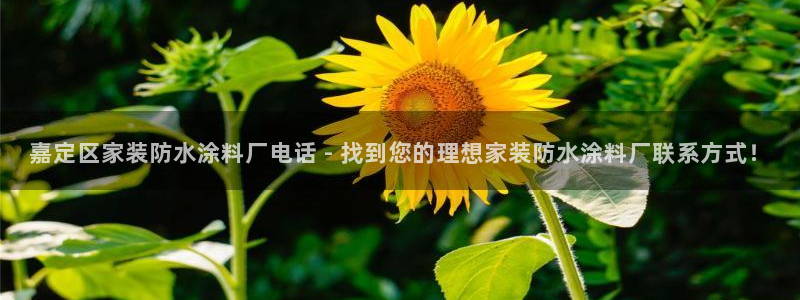 和记ag旗舰厅app：嘉定区家装防水涂料厂电话 - 找到您的理想家装防水涂料厂联系方式！