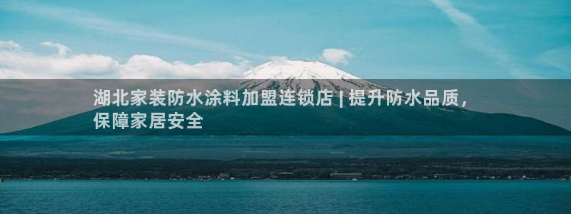 和记AG旗舰：湖北家装防水涂料加盟连锁店 | 提升防水品质，
保障家居安全