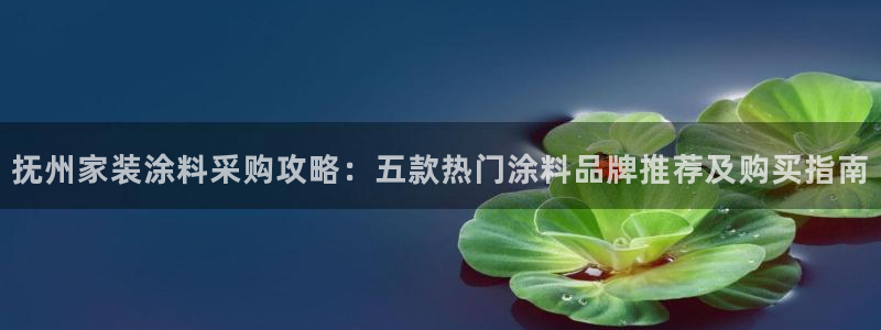 和记娱好网址：抚州家装涂料采购攻略：五款热门涂料品牌推荐及购买指南